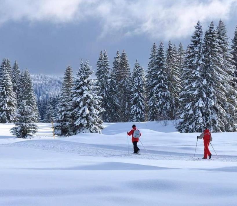 Gite Au Coeur Du Jura Entre Comte Et Vin Jaune, Gite Vin Jaune Chamole Extérieur photo